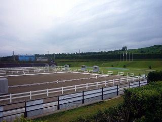 P1020483.jpg