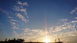DSC_1630-s.jpg