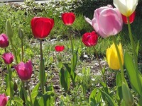 DSC00286.jpg