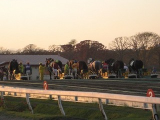 IMG_0939.jpgのサムネール画像