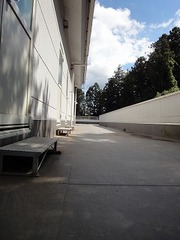 DSC02008.jpg