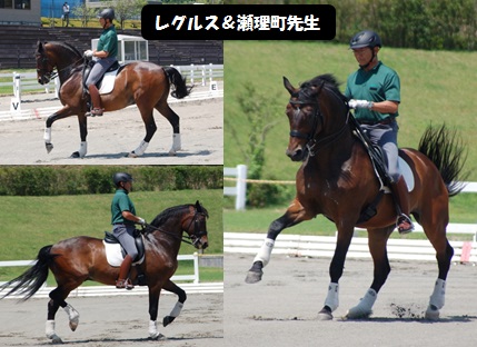 レグルス.jpg