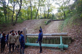 IMGP1856.jpg