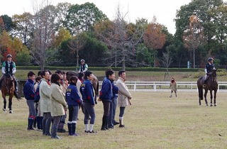 IMGP1878-2.jpg