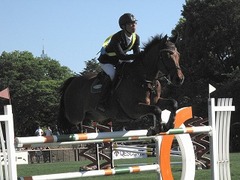 horseshow2-13.jpg