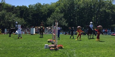 horseshow3-17.jpg
