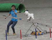mahoroba30.jpg