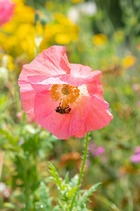 20180714-3.jpg