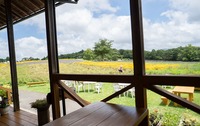 20180714-4.jpg