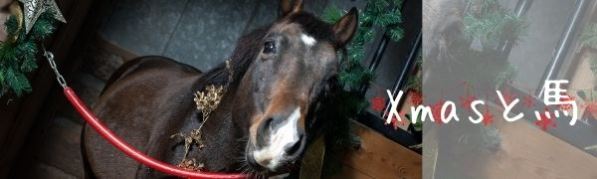 クリスマスと馬