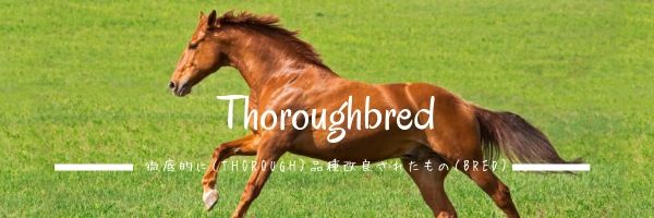 【馬の品種のおはなし】サラブレッド編