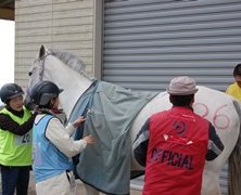 DSC_0187s.jpg