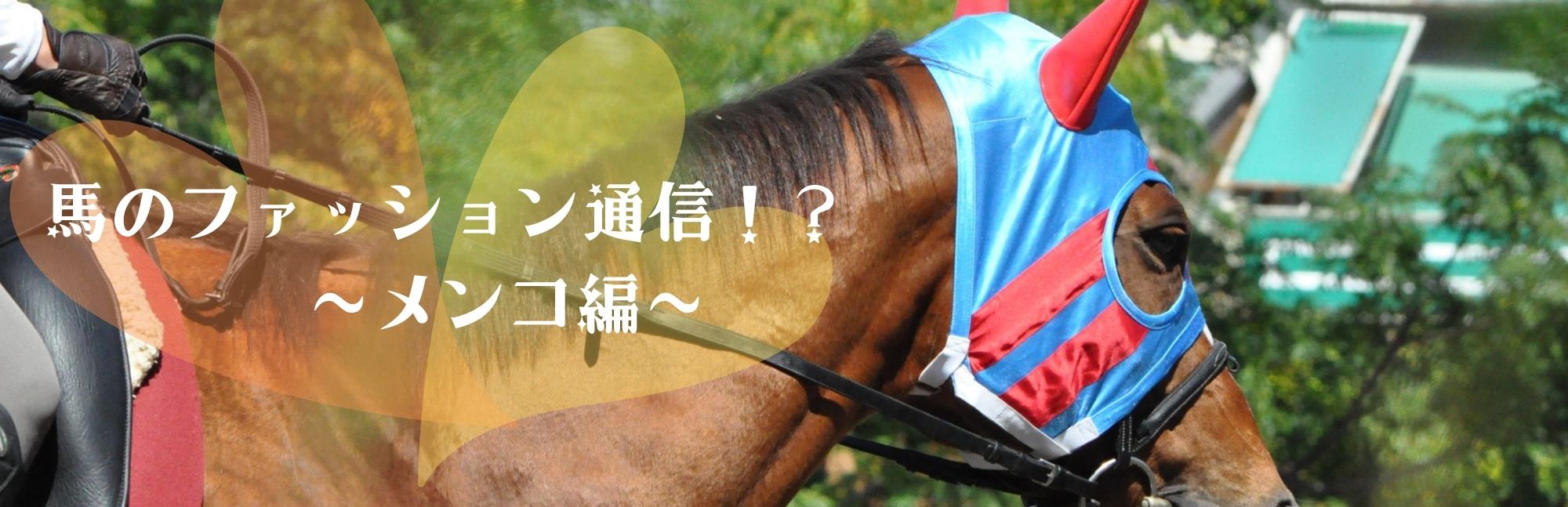 お洒落さんがいっぱい！？ 馬のファッション通信 ～メンコ編～