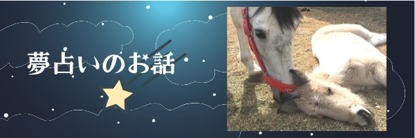 幸運を呼び込む！？馬の夢【夢占い】
