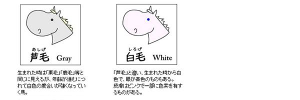 keiro3.jpg