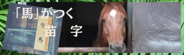 【あなたは何位？「馬」のつく苗字】
