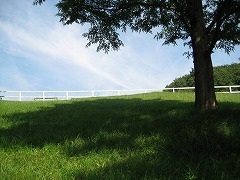 ほっとできる、笑顔になれる場所・・・東日本大震災から５カ月