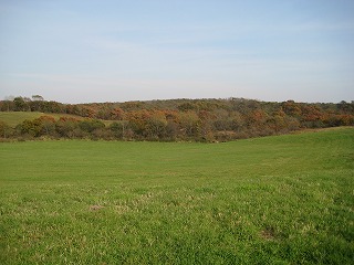 104.jpg