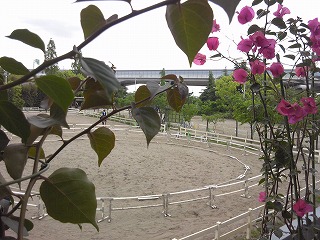 120511_084906.jpg