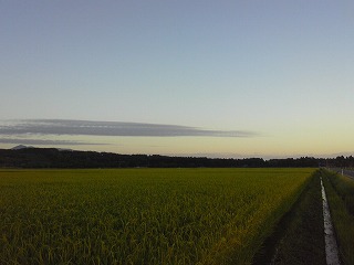 夏休みの思い出・・・馬に乗って外へ出よう！