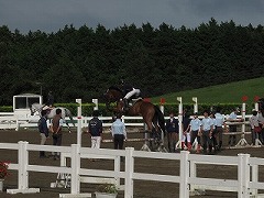 1609163.jpg