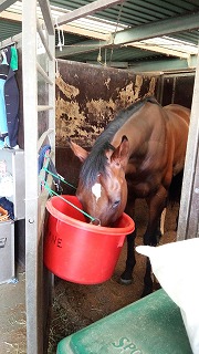 2016041611.jpg
