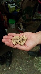 2016041612.jpg