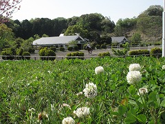 201604163.jpg