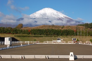 2016年、全日本競技の結果は？―全日本馬場馬術―