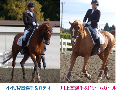 201611133.jpg