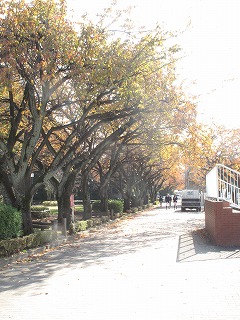 201611202.jpg