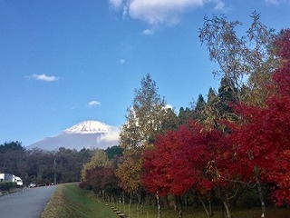 2017秋、全日本馬場馬術大会 PartⅠ