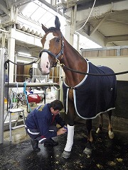 20171117-10.jpg