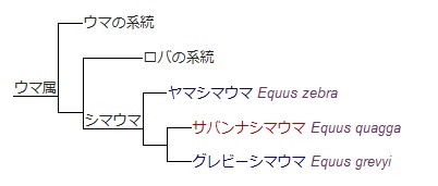 20180122-2.jpg
