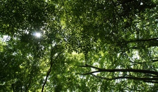 20180512-11.jpg