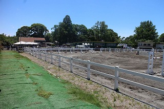 東日本障害馬術大会 CSI1*-W Chibaレポート