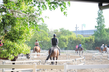 乗馬クラブってどんなところ？