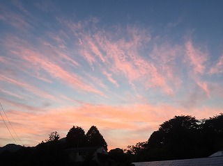 2018102217.jpg