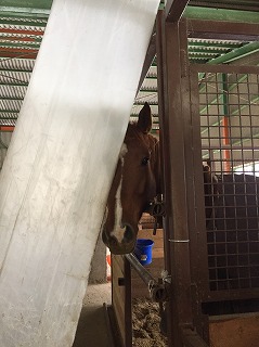 201810227.jpg