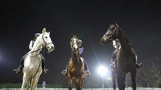 6kinen.jpg
