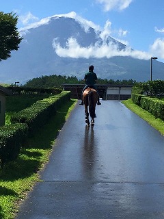 7fuji.jpg