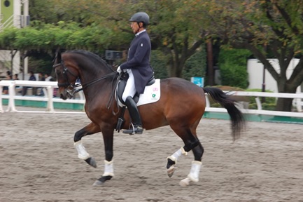CDITOKYO２０１６　東京国際馬術大会が始まります！