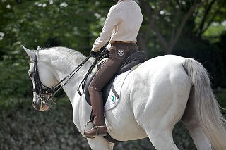乗馬でダイエット！？乗馬の運動効果について