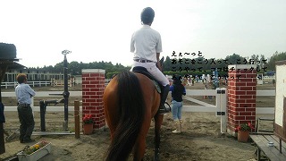 東日本障害馬術大会　CSI1*-W Chiba