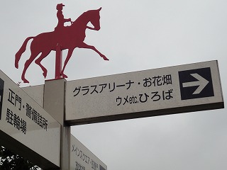 馬ってどんな動物？【３】－馬はすごい！－