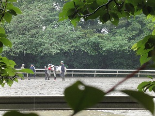DSC00353.jpg