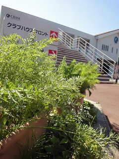 草原を走りたい！海岸を馬で走りにいきたい！モンゴルに行きたい！