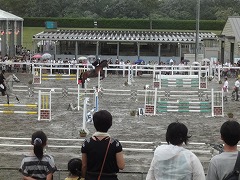 DSC00457 (2).jpg