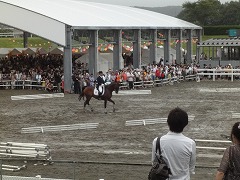 DSC00460 (2).jpg