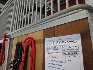 DSC00480.jpg